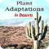 Adaptations of  Deserts Plants