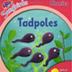 Tadpoles