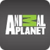 Animal Planet: Endangered