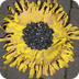 Handprint sunflowers