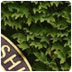 kaarten