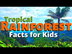 Rainforest Facts for Kids | Al