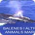 JClic: Balenes i altres