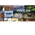 PROCER CONANP