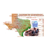 Texas Beyond History