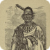 Wichita / Tawakoni