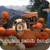 Pumpkin Patch Boogie - YouTube