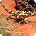 Thorny Devil reptile