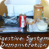Digestive System Demo