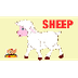 Sheep Video