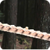Xylophone in Forest