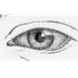 Drawing the Eye - Teach Yourse