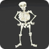 The Skeleton Dance - YouTube
