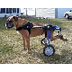 Used Dog Wheelchair