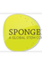 Spongelab | Build-A-Body