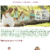 Best Flower Girl Dress
