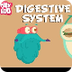 4 Digestive System