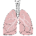 Respiratory System for Kids - 