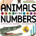 Animals By The Numbers