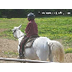 Horse Riding For Beginners