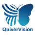 Quiver Vision 3D