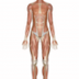 Muscular System