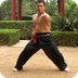 An Wushu - Some Baji Basics an