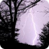 Local Weather