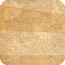 Character Bios