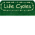  Life-Cycle