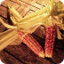 Permaculture "micro-ferme