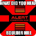 Boulder Hill, Scanner and Info