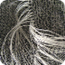 Teranyina - Web de T