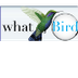 identify birds 