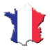 Franse stamboeken Vincennes