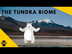 The Tundra-Biomes of the World