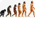 Prehistòria origens humans