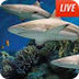 Animal Planet Live - Sharks