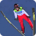 Physics of Ski Jumping