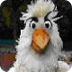 website huisje boompje beestje