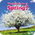 What Can You See in Spring?