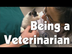 Being a Veterinarian | The Fri