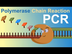 PCR - Polymerase Chain Reactio