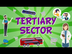 The Tertiary Sector : Jobs and