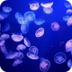 Intro to Earth's Oceans PPT