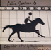 Horse in Motion. Muybridge