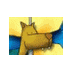 mijn ... plein
