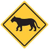 Zilker Elementary Website