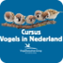 Cursus Vogels in Nederland