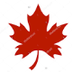 First Nations, Metis